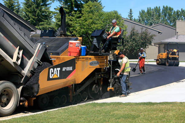 Best Best Driveway Pavers  in Fort Davis, TX