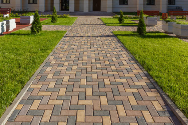 Best Professional Driveway Pavers  in Fort Davis, TX